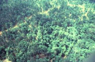Logging Intensity and Biomass