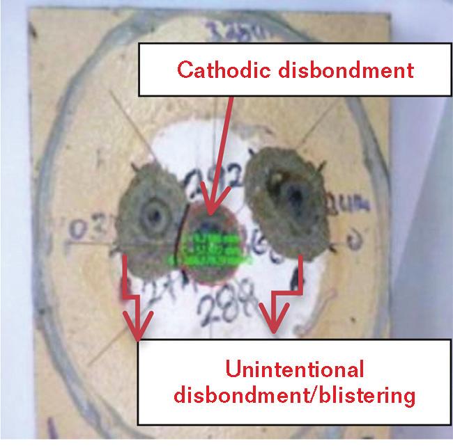 FIGURE 3 Unintentional disbondment of FBE coating in areas where there was a coating thickness reduction of ~20%. holiday, the underside of the panel, and the reference holiday.