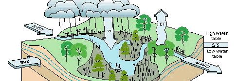 Hydrologic Cycle Wetland Water Budget Conservation of mass (mass in minus mass