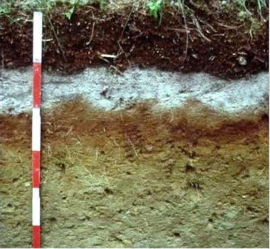 Soil analysis rate of nutrient loss in relation to