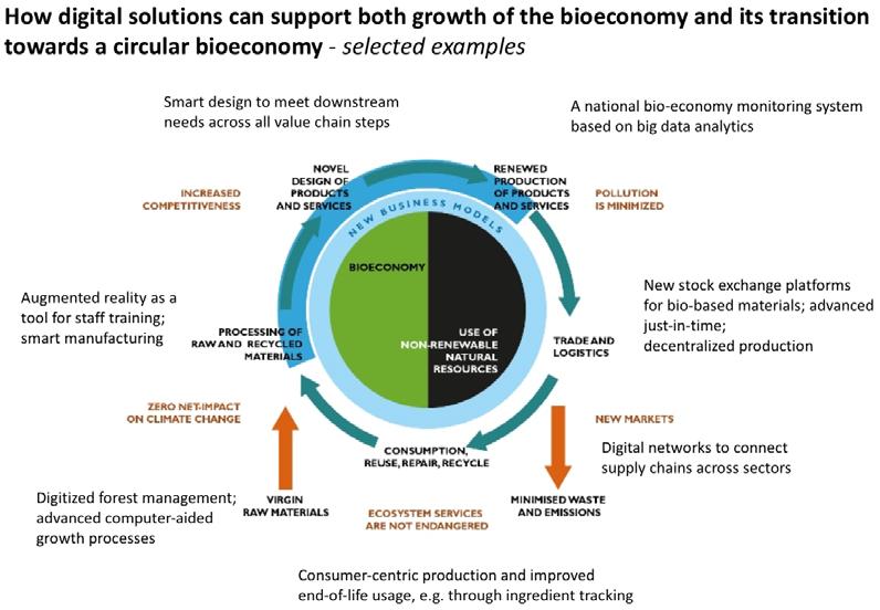 FIGURE 2: Adaptation of the Concept of sustainable circular bioeconomy, applied in the RECIBI project. (ANTIKAINEN ET AL. 2017, P.