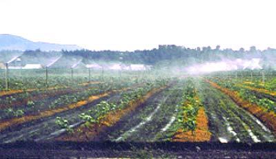 Water conservation can be achieved by: using equipment that is more efficient ensuring that equipment is operating properly managing the application of water on the farm more