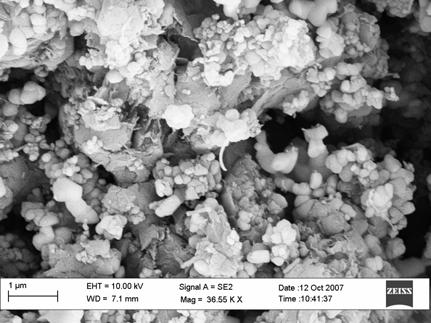 Results - Surface microstructure of fuel cells exposed to tar compounds - Extensive damage to each cell shown