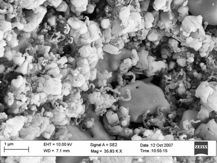 2, x 35k resolution Page 20 Figure 5 (b) Micrograph of SOFC exposed to 15 g/m 3 benzene for 30 min in 15% H 2 /N