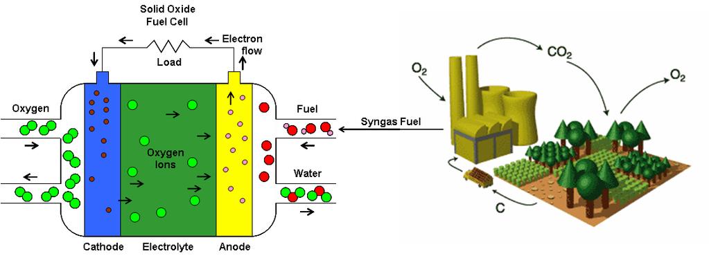 Introduction to the Project Why Combined Biomass Gasification and Fuel Cell Technology?