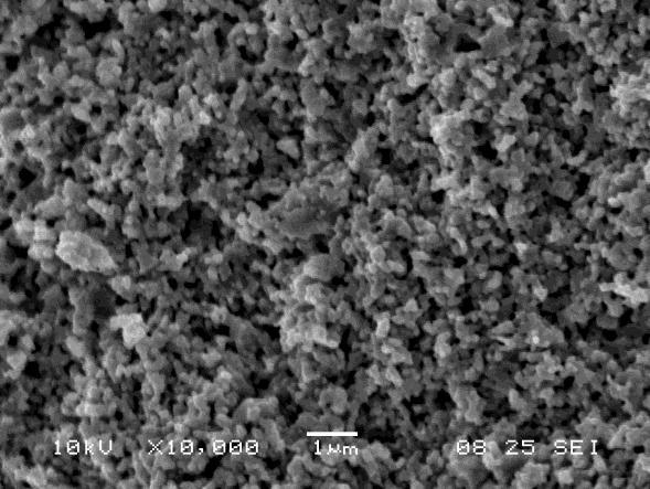 a cross-section SEM image at 10000x magnification of a LSCF cathode sintered at 1020 C, Fig. 21b is a cathode sintered at 1050 C, Fig.