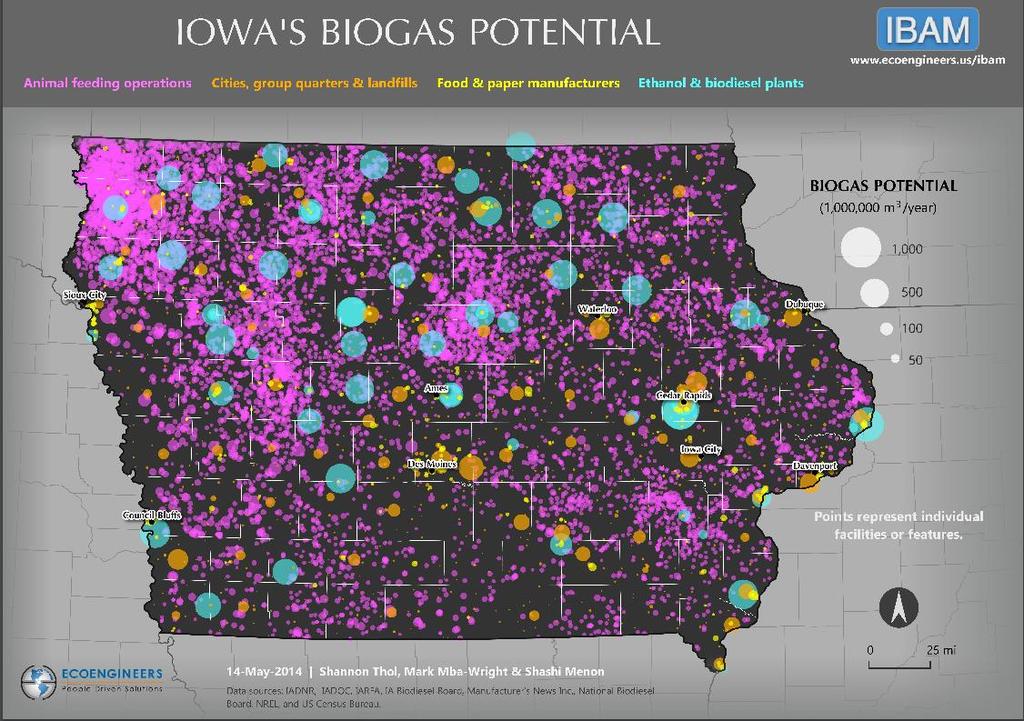 of raw materials and economic potential of biogas