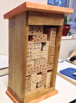 For example, a medium-sized bee hotel frame (Figure 7) might be 6-7 inches deep, 12 inches high, 12 inches wide, with an open front, and a covered back.
