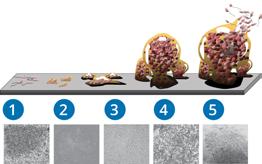 Ultrasonic Biofouling Prevention Treatment Process LG Sonic has more than 10 years of experience in applying ultrasound technology to prevent biofouling.