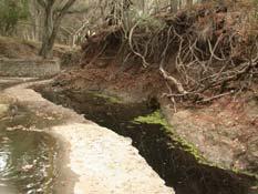Prevention Control Flow Source: Santa Clara County Sediment Control Prevent transport of sediment off