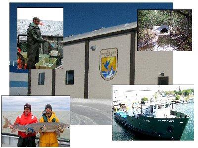 + Fisheries and Wildlife Conservation Office (FWCO) Opened in June 1992 Station covers the U.S waters of Lake Huron, western portion of Lake Erie, the St.