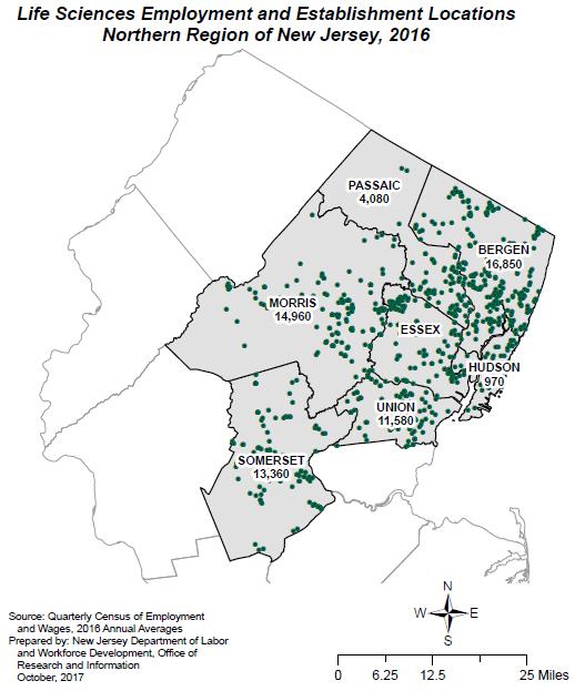COUNTIES IN THE NORTHERN REGION The highlighted region to the left consists of Essex, Passaic, Morris, Somerset, Union, Hudson, and Bergen Counties.