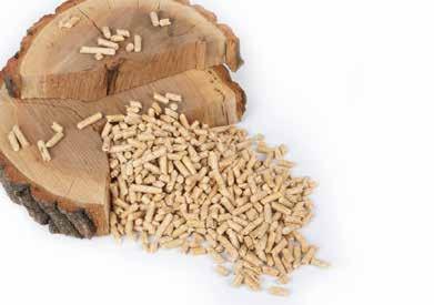 ASTEC Modular Wood Pellet Plants The world s first and only single-source,