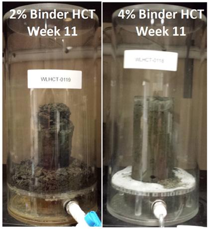 Figure 3 Photos of 2% (left) and 4% (right) HCTs of cemented paste tailings cylinders at 11 weeks of testing.