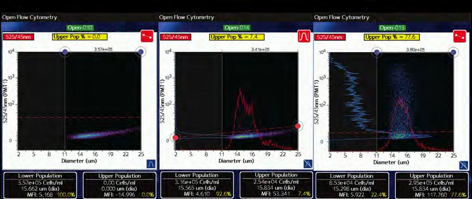 Figure 3 Screenshots from the Moxi GO showing scatter plot (GFP fluorescence vs. size) examples for a.) Non-transfected CHO cells. b.) PEI-transfected CHO cells c.