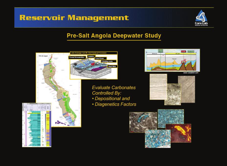 Slide 29 Reservoir Management These Pre-Salt Angola Deepwater studies are directed toward providing data sets consisting of biostratigraphy, geology, reservoir quality, petrophysical