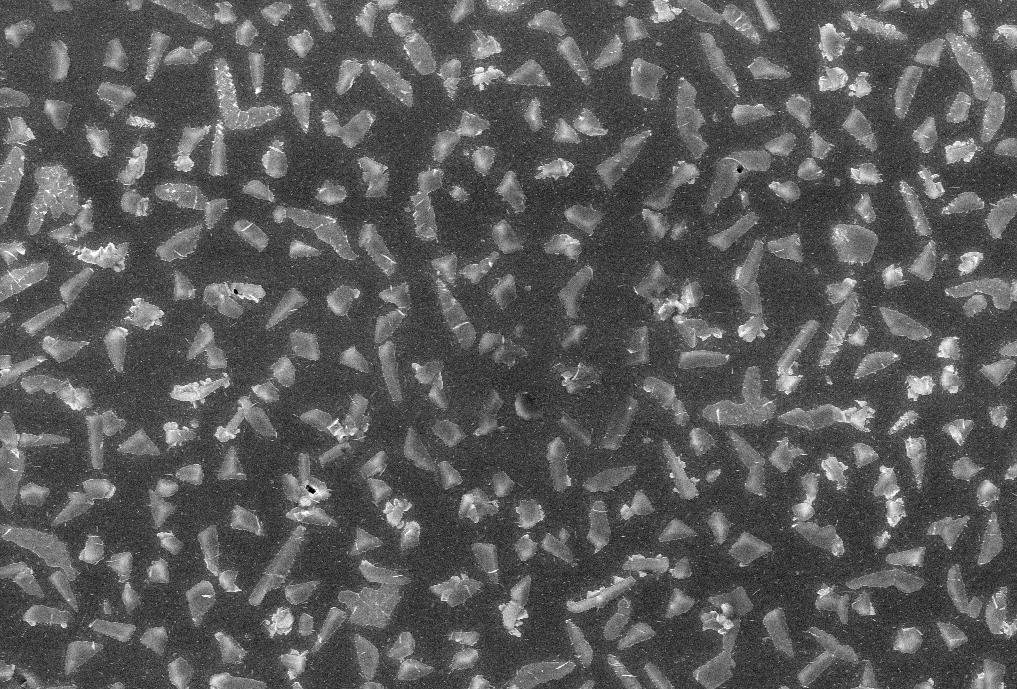 Results: Titanium Dioxide Coatings 20 µm Figure 10.