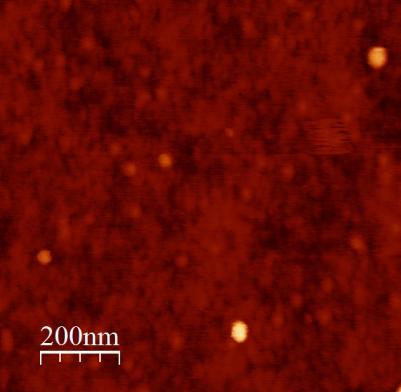 Results: Silicon Nitride Coatings AFM analysis was used to estimate surface roughness and morphology of silicon nitride films.