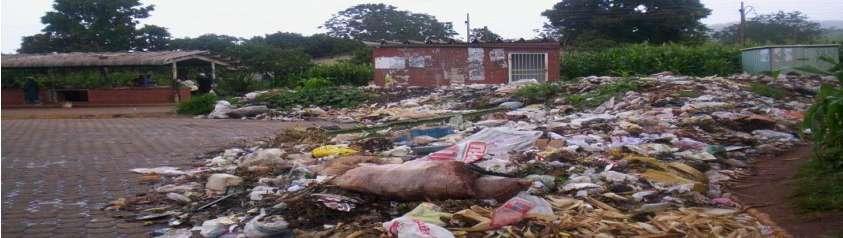 006 Afr. J. Environ. Waste Manage. Figure 2. Illegal Dumpsite next to a Market (Mpopoma, 2011).
