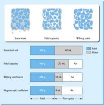 Figure 5.3 Volumes of water and air associated with a 100 g slice of soil solids in a well-granulated silt loam at different moisture levels.