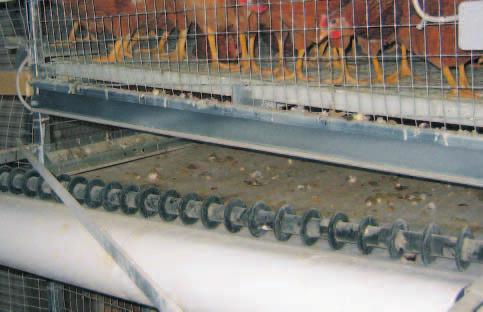 ) Within the NATURA-Floor system we have manure belts under the slats, the manure is removed every week => optimum conditions for an ideal house environment.