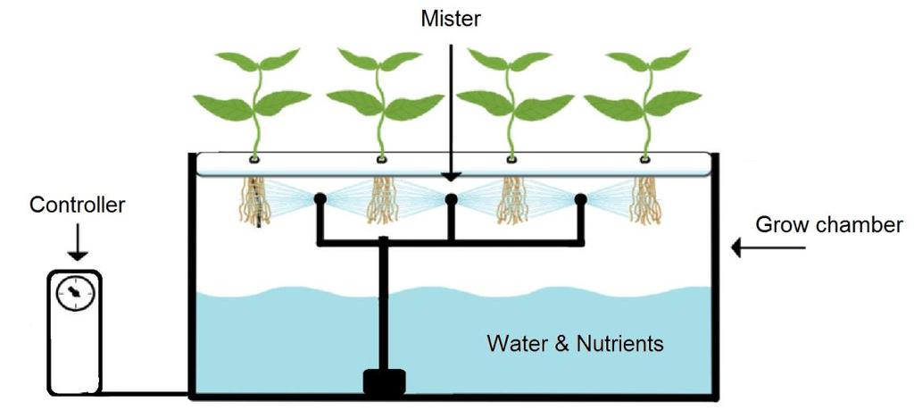 AEROPONIC AEROPONIC technology without soil Most efficient process of growing plants in air and mist environment without