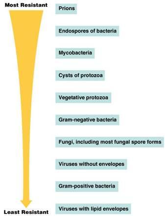Microbial Characteristics and
