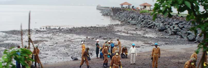 E. Various Agencies engaged in the clean-up operations: IOC, TERI, D.G.