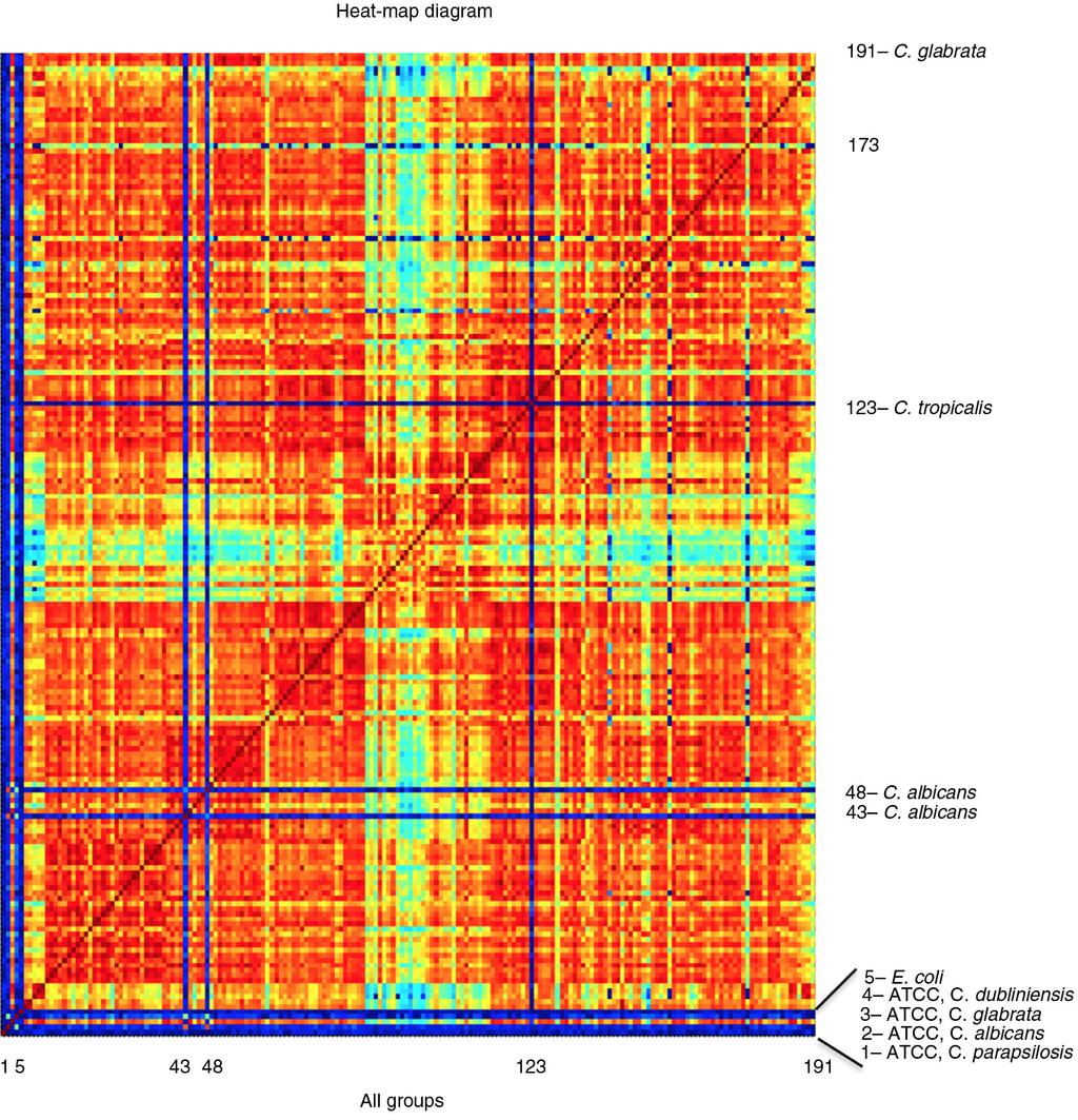 Kari-Mette Andersen et al. Fig. 2. CCI matrix of 183 C. glabrata isolates versus reference strains presented in a heat map diagram. Strains different from C.