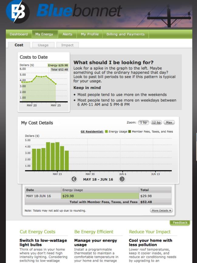 Beyond Meter to Cash: Web Presentment The Energy Web Portal shows co-op members: Hourly usage information Bill