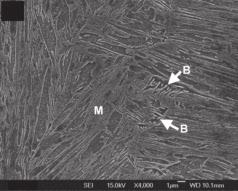 A B C D Fig. 9 Representative SEM micrographs of the FZ in specimens subjected to the following: A Single-pulse current, and second- pulse current at B 5 ka; C 7 ka; D 9 ka.