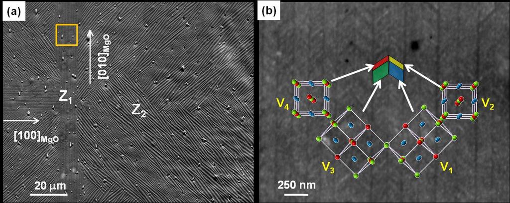 Chapter 5 Determination of crystallographic features of epitaxial NiMnGa thin films by EBSD In contrast, the pattern in Fig. 5.2(f) represents a single pattern and can be well indexed with the monoclinic superstructure of the 7M martensite (Fig.