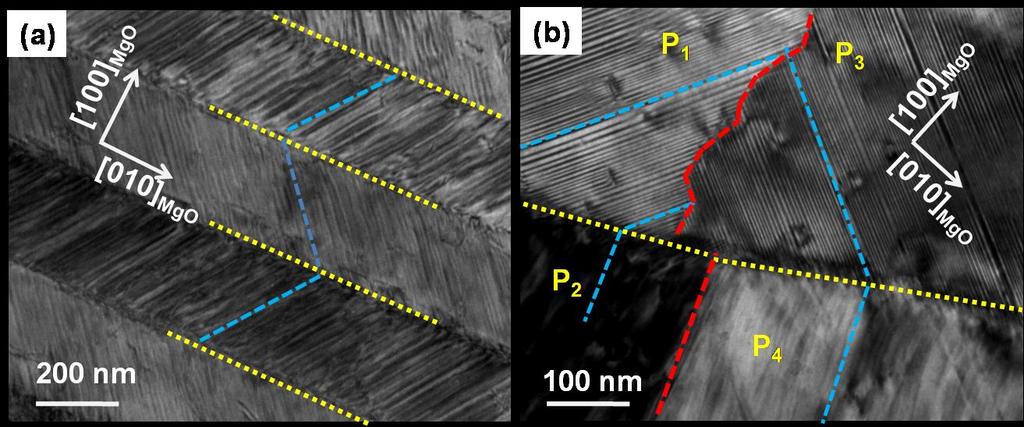 Chapter 5 Determination of crystallographic features of epitaxial NiMnGa thin films by EBSD martensite at the surface of the thin films with maximum thickness of about 0.5 µm.
