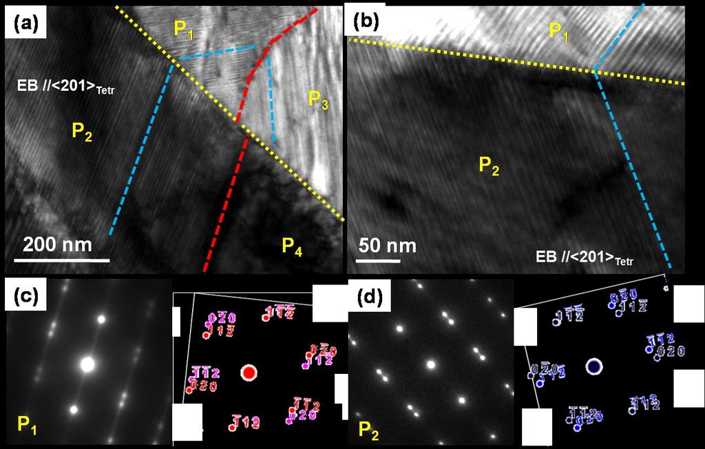 6 The TEM bright field image in the high relative contrast zones of NiMnGa thin films (a-b) and the corresponding