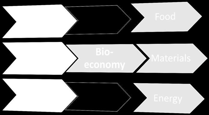 Project objectives Industrial domain: bioeconomy Improve utilization of best possible raw materials from agriculture, forestry and fishery Improve production of food, energy and biomaterials The