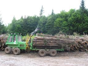 Conclusions about harvesting whole trees and logging residues for fuel in