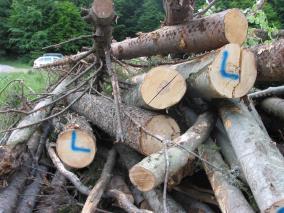 !) Forwarding of logging residues and whole trees by forwarders Chipping of