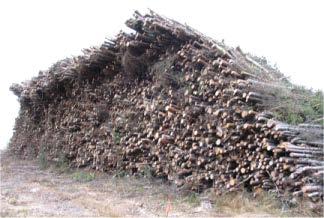 11-20 /m³ (birch, aspen, pine & spruce).