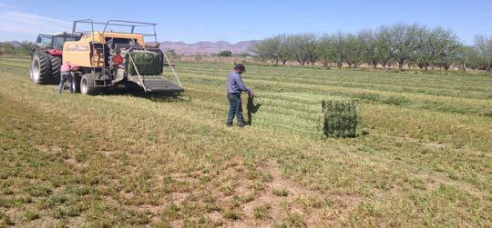 Highlights PNW Early new crop has started in the Columbia Basin... PMW Water is a major concern for all hay crops... PSW Dairies are keeping alfalfa prices at an all-time high.