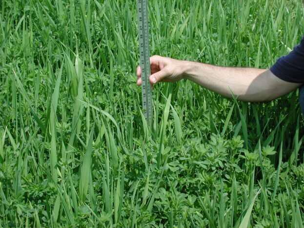 Alfalfa/Grass Mixtures To maintain and sustain alfalfa in the mixture: - Grow on moderate to well drained soil - Maintain soil ph at 6.7 to 7.