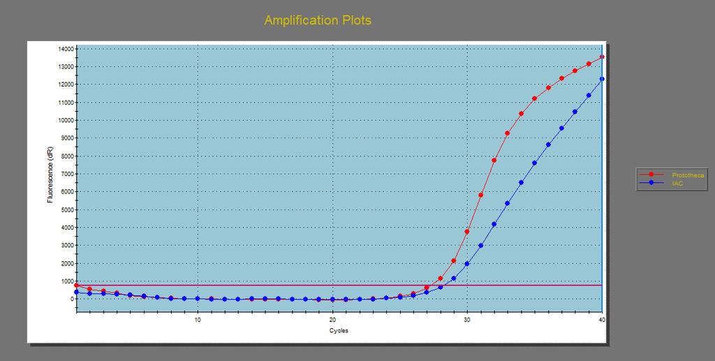 Four examples of amplification plots