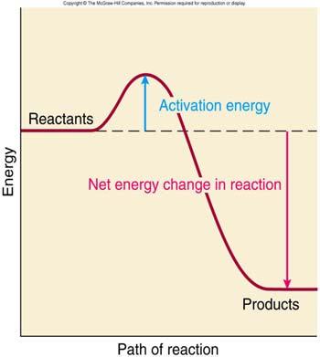 Figure 4.11 page 163 Rate of Reaction Increase surface area, smaller particles (e.g. fluidized-bed power plant less pollutants) Increase temperature to overcome activation energy barrier Use a catalyst to lower AE via alternate reaction pathways.