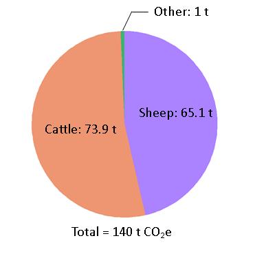 Gross Output and Gross Margin: Sheep Farms For the average sheep farm, approximately 68% of output was generated from the market, and 32% from subsidies and grants.