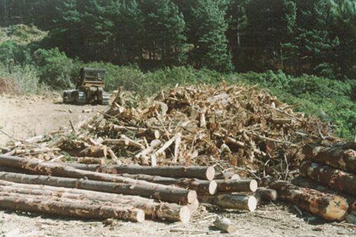 South Carolina Annual Logging Residues 2001-2006 Total harvest 35.7 million tons Residue harvest 7.8 million tons Residue available 3.