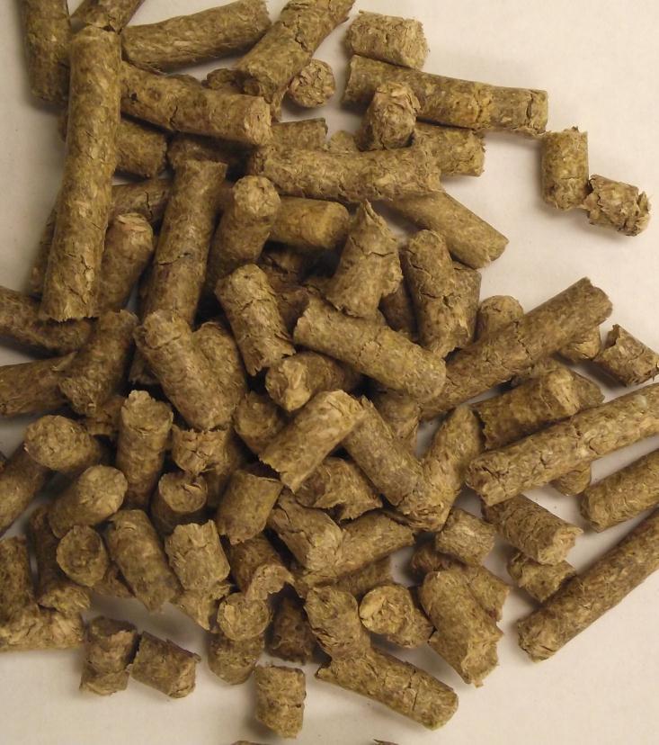 Eucalypts for solid bio-energy production Wood pellets and briquettes can be effectively manufactured from Eucalyptus Pellets/briquettes from Eucalyptus provide optimized transportation of biomass