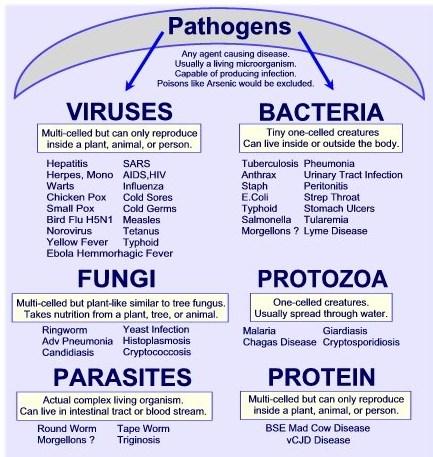 10 Figure 5.2 Pathogen is a specific microorganism that causes a specific disease http://kmbiology.weebly.com/human-health-and-disease---notes.html 5.