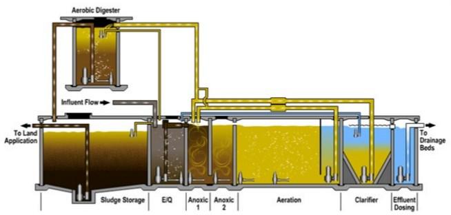 Anaerobic fermentation zone with very low dissolved oxygen levels and the absence of nitrates b.