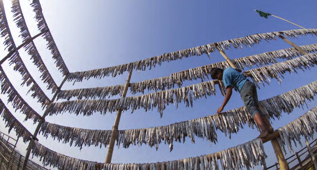 BANGLADESH A fisher boy drying fish FAO/Zakir Hossain Public investment can stimulate the positive conditions on the ground that can attract further private investment, both from the rural households