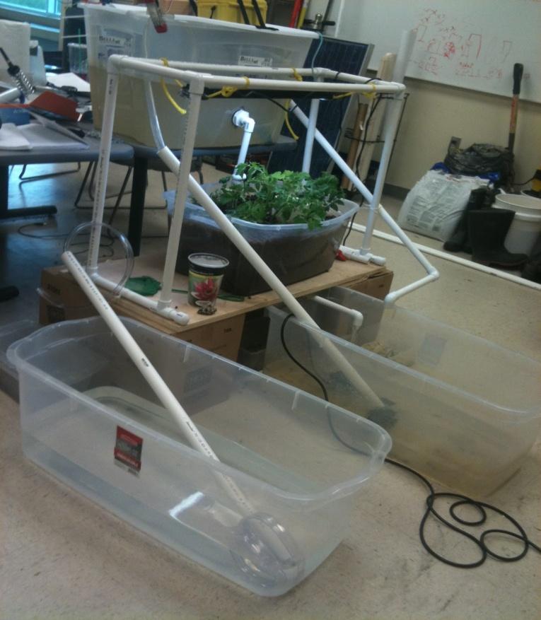 Lesson Plan - The Design & Monitoring of an Aquaponics Systems Subject Areas: Biology & Chemistry & Acquatics Associated units: Variables affecting plant growth in an inert media Solubility of gases