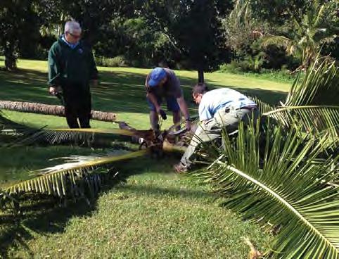 NAVFAC Hawaii also works closely with landscaping contractors to ensure that necessary contract modifications are completed for changes in green waste handling and disposal practices and provides
